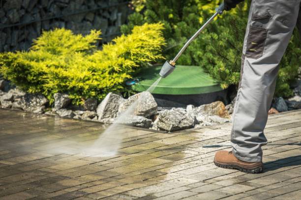 Best Fence Cleaning  in Francis, UT