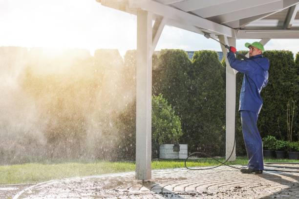 Best Spring Cleaning  in Francis, UT